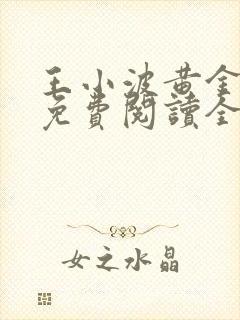 王小波黄金时代免费阅读全文