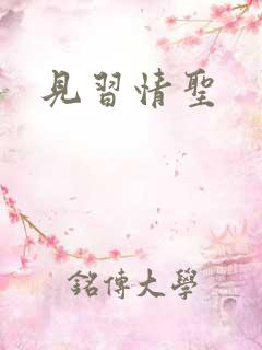 见习情圣
