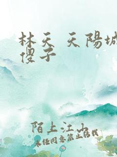 林天 天阳城 傻子