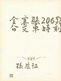金寨县206路公交车时刻表