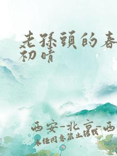 老孙头的春天林初晴