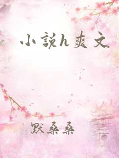 小说h爽文