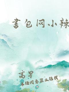 书包网小辣文