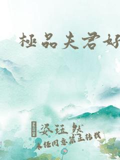 极品夫君好又多