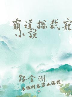 霸道总裁宠上天 小说
