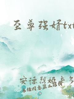 至尊强婿txt