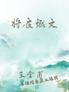 将夜燃文