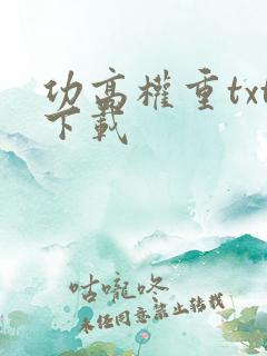 功高权重txt下载