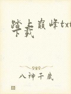 踏上巅峰txt下载