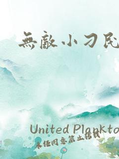 无敌小刁民小说