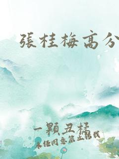 张桂梅高分作文