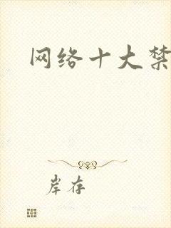 网络十大禁书