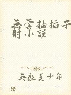 无套抽插子宫内射小说