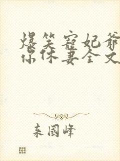 爆笑宠妃爷我等你休妻全文免费阅读