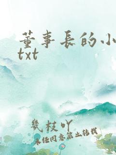 董事长的小王爷txt