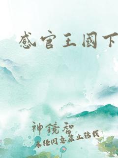 感官王国下载