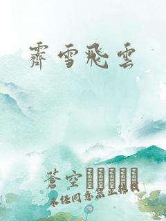 霁雪飞云