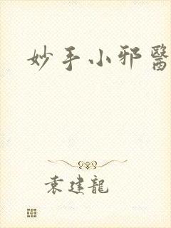 妙手小邪医小说