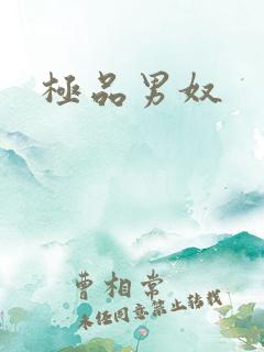 极品男奴