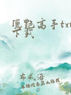 猎艳高手txt下载