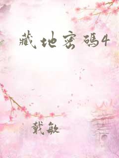 藏地密码4