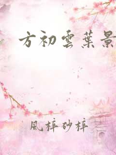 方初云叶景远
