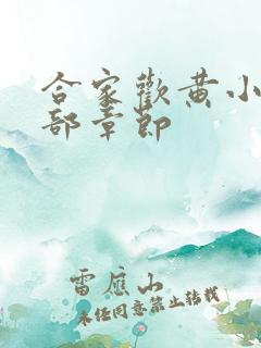 合家欢黄小梅全部章节