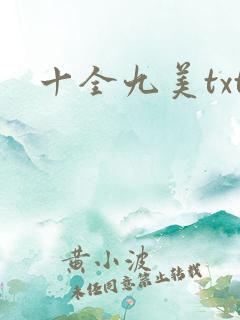 十全九美txt