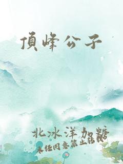 顶峰公子