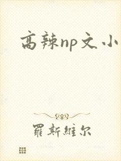 高辣np文小说