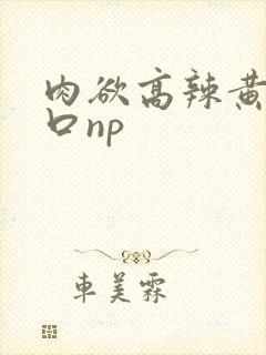 肉欲高辣黄暴重口np