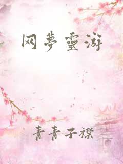 网梦灵游