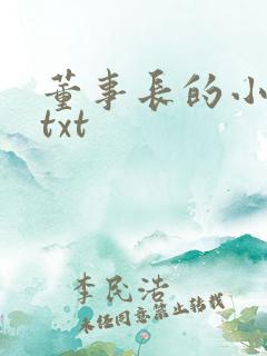 董事长的小王爷txt