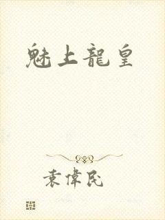 魅上龙皇