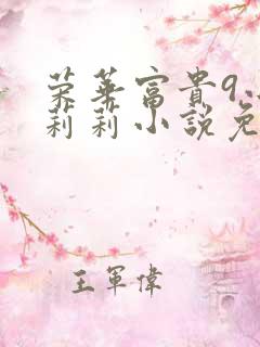 荣华富贵9小王莉莉小说免费阅读