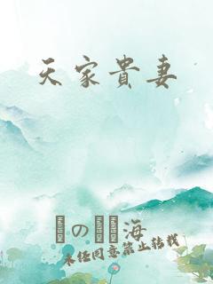 天家贵妻