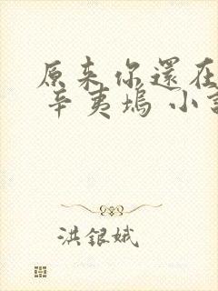 原来你还在这里 辛夷坞 小说