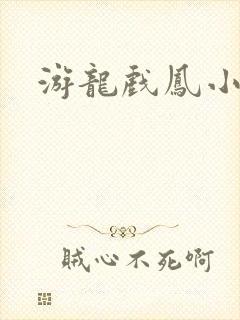 游龙戏凤小说