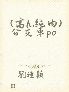 (高h,纯肉)公交车po
