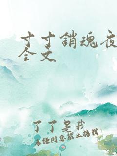 寸寸销魂夜春光全文