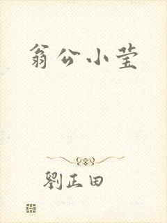 翁公小莹