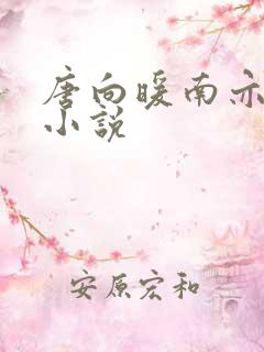 唐向暖南亦琛的小说