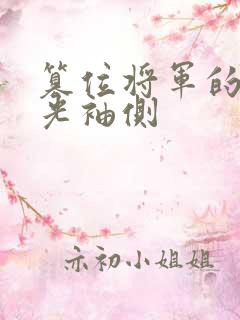 篡位将军的白月光袖侧