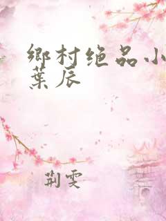 乡村绝品小神医叶辰