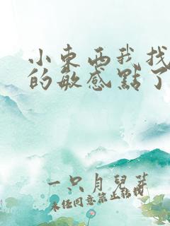 小东西我找到你的敏感点了