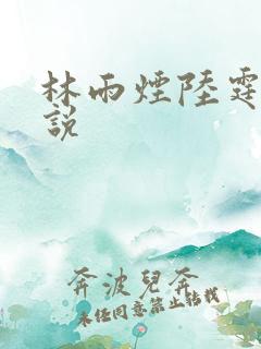 林雨烟陆霆琛小说