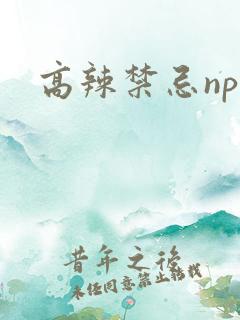 高辣禁忌np文