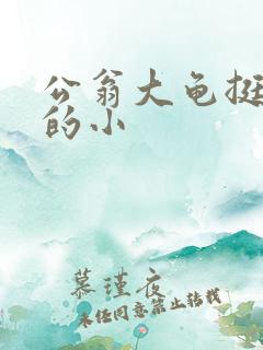 公翁大龟挺进我的小