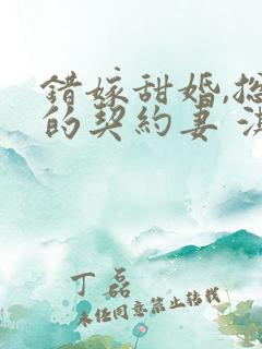 错嫁甜婚,总裁的契约妻 淇沅