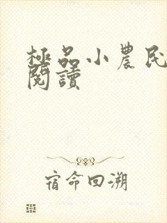 极品小农民全文阅读